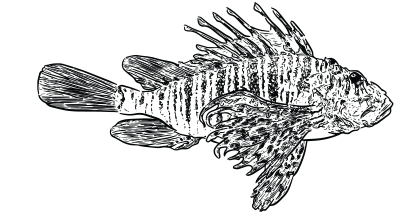 Fisch